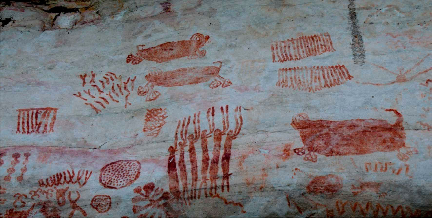 rupestre-colombia